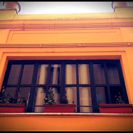 Gasthuis Sogni Stellari